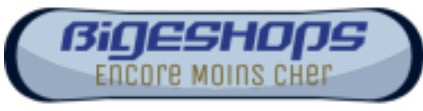 Logo Bigeshops