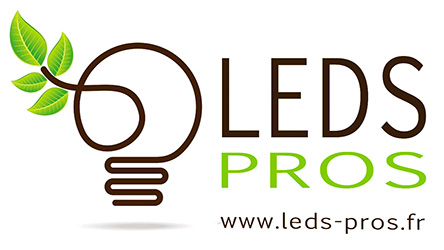 Logo LEDS-PROS