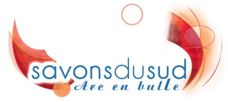 Logo savonsdusud.com