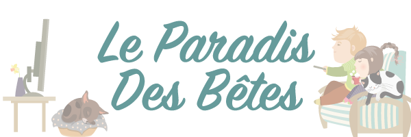 Logo Leparadisdesbetes