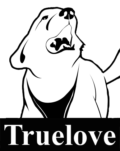 Logo Truelove shop