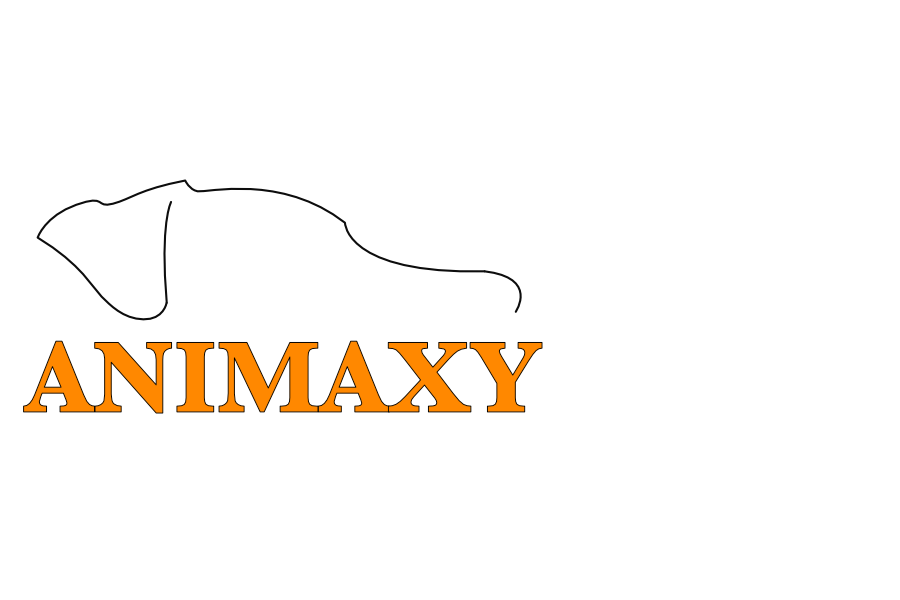 Logo Animaxy