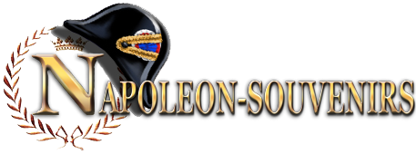 Logo Napoléon-Souvenirs