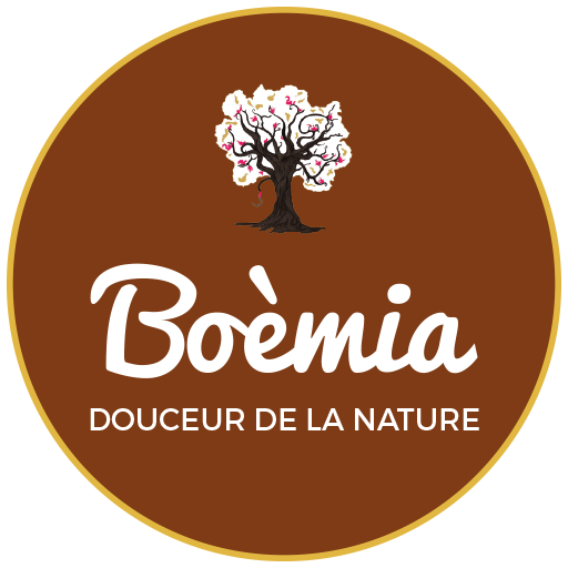 Logo boemia-aroma