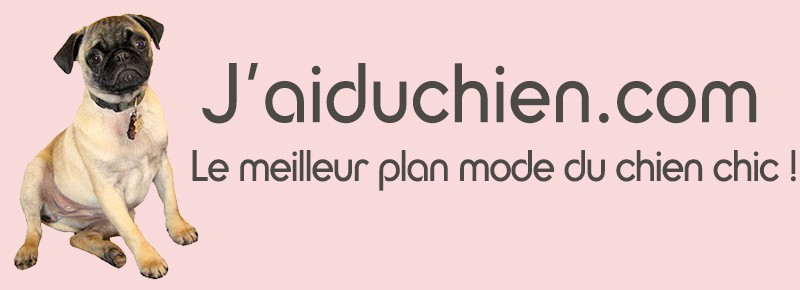 Logo Jaiduchien.com