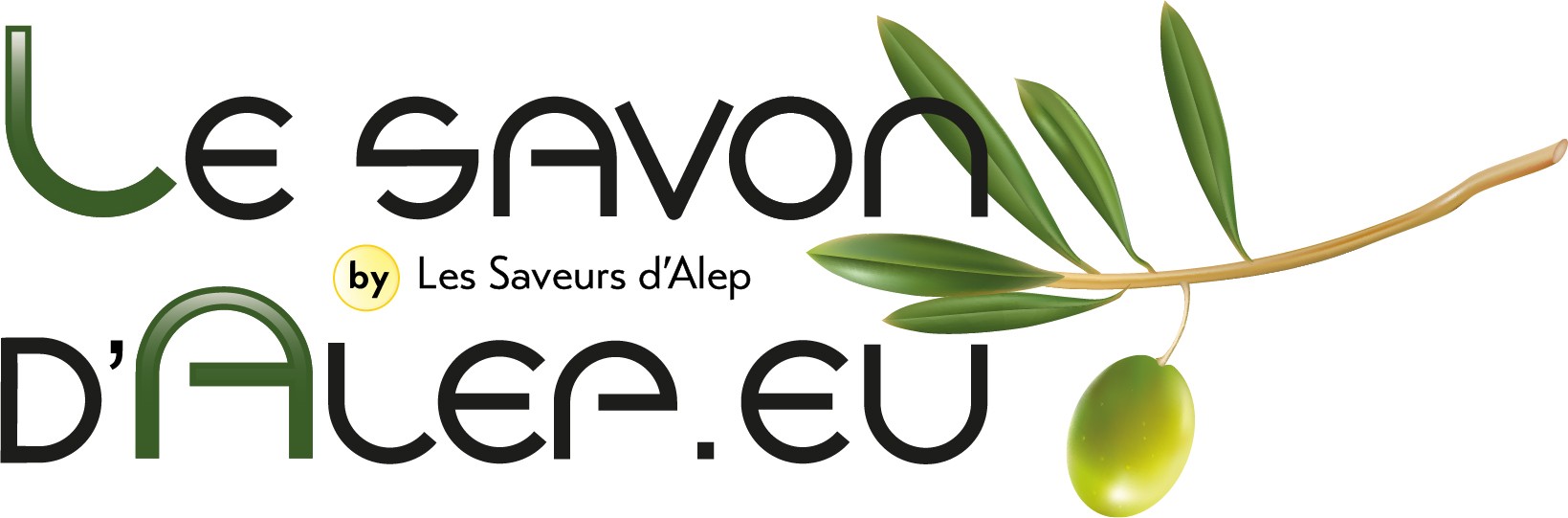 Logo LeSavondAlep.eu