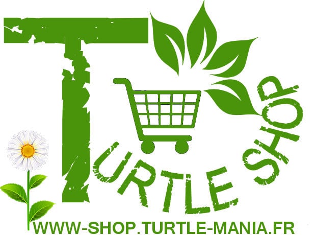 Logo turtle mania