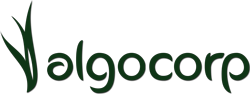 Logo Algocorp