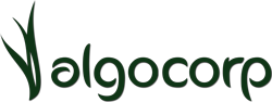 Logo Algocorp